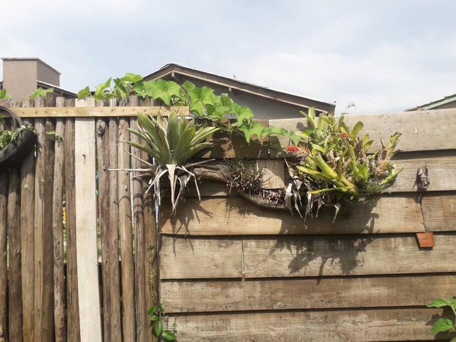Casa Proximo A Praias, Trilhas E Cachoeiras. Garopaba Esterno foto