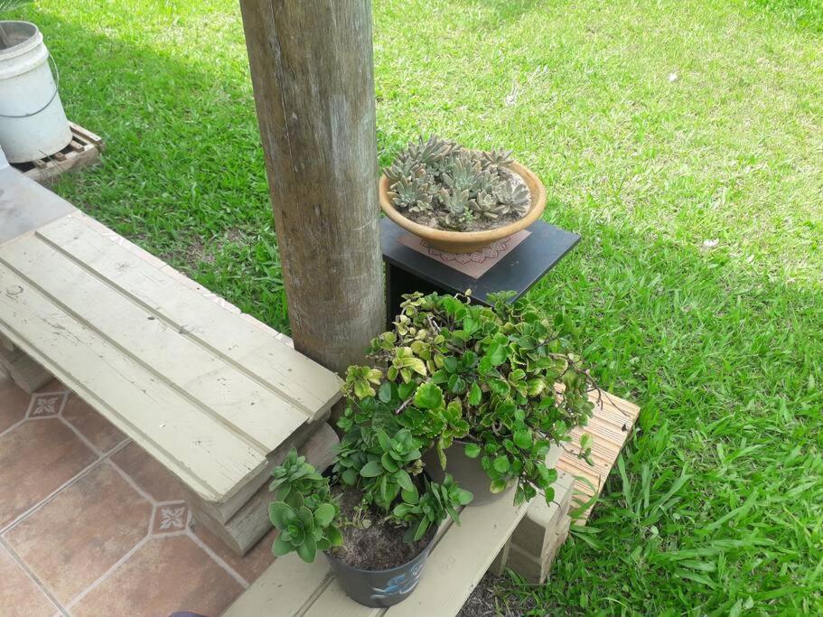 Casa Proximo A Praias, Trilhas E Cachoeiras. Garopaba Esterno foto