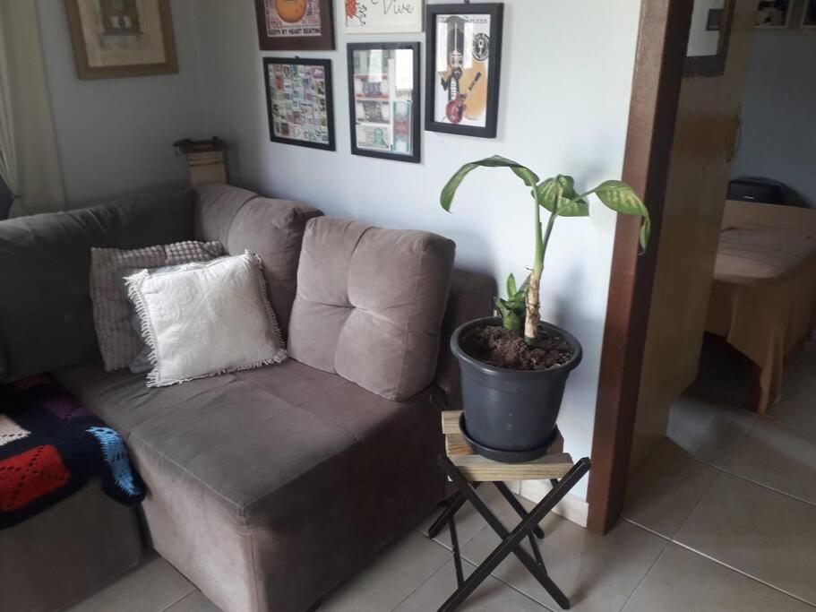 Casa Proximo A Praias, Trilhas E Cachoeiras. Garopaba Esterno foto